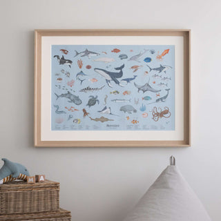 Meerestiere Poster 60x80 cm, zeigt bunte Illustrationen von Meereslebewesen, ideal als Lernposter und Kinderzimmerdekoration.