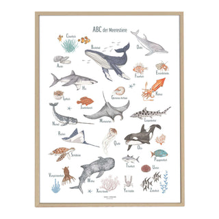 Illustrationen von Meerestieren alphabetisch angeordnet, gerahmtes Poster; Schulstart-Geschenkidee für Jungen und Mädchen.
