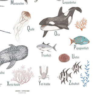 Poster mit Meereslebewesen, darunter Orca, Manta, Papageifisch, und Quallen, mit deutschen Namen, ideal für Schulstart.