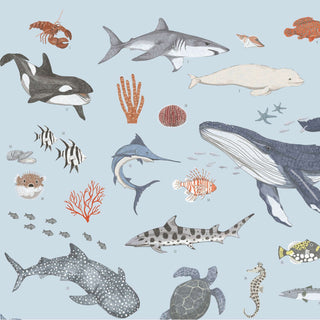 Buntes Lernposter über Meerestiere, zeigt Orcas, Haie, Wale, Delfine, Fische, Korallen, Schildkröten auf blauem Hintergrund.