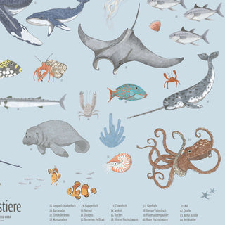 Farbenfrohes Poster über Meerestiere für Kinder; mit Delphinen, Kraken und Seekühen, beschriftet zum Lernen, 60x80 cm.
