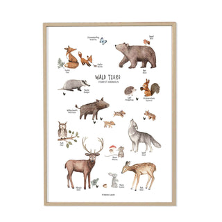 Illustriertes Poster mit verschiedenen kleinen Waldtieren, darunter Fuchs, Bär, Reh, Eule und Eichhörnchen, deren Namen beschriftet sind.