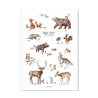 Illustriertes Poster mit Waldtieren, darunter ein Bär, ein Fuchs, ein Eichhörnchen, ein Hase und ein Reh mit Etiketten. Mit dem Titel „Wald Tiere“.