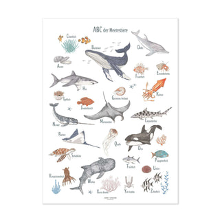 Poster mit illustrierten Meerestieren in alphabetischer Reihenfolge, darunter Wale, Delfine und Clownfische, in leuchtenden Farben.