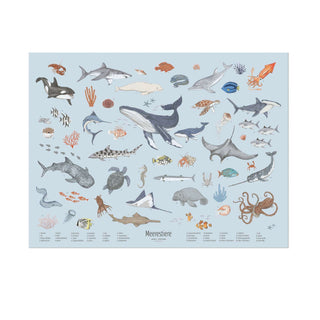 Meerestiere Lernposter 60x80 cm für Kinder, illustriert verschiedene Meeresbewohner wie Wale, Haie, Fische und Korallen.