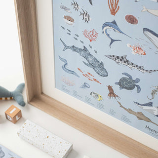 Illustration eines Meerestiere-Lernposters, 60x80 cm; zeigt verschiedene Meereslebewesen mit Beschriftungen, pädagogisch für Kinder.